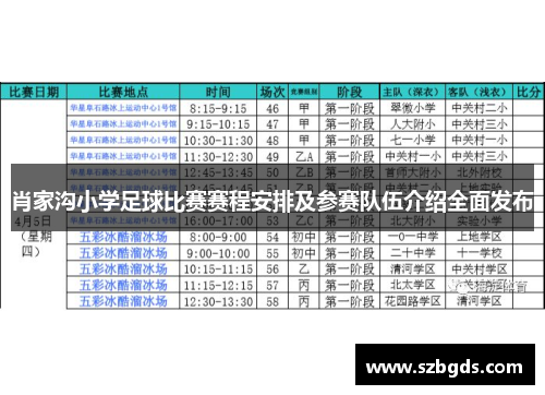 肖家沟小学足球比赛赛程安排及参赛队伍介绍全面发布