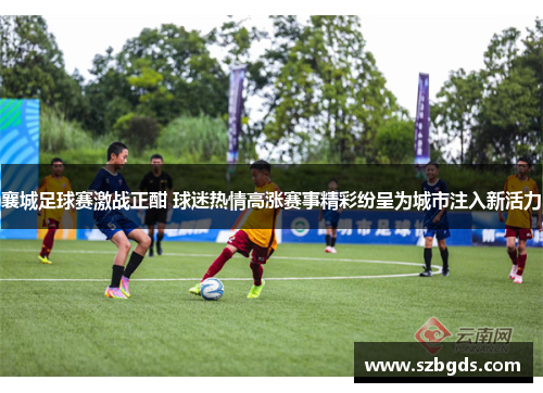 襄城足球赛激战正酣 球迷热情高涨赛事精彩纷呈为城市注入新活力