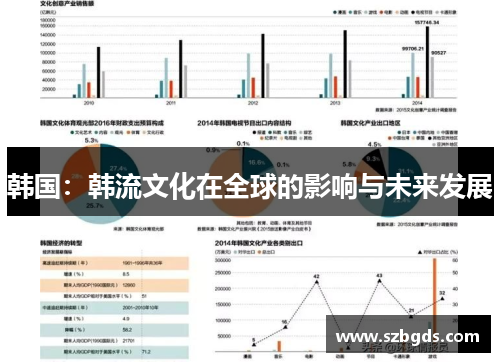 韩国：韩流文化在全球的影响与未来发展